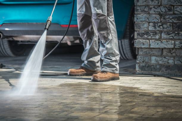 Best Dumpster Area Cleaning  in Waldo, AR