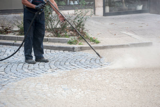 Best Factory Floor Cleaning  in Waldo, AR